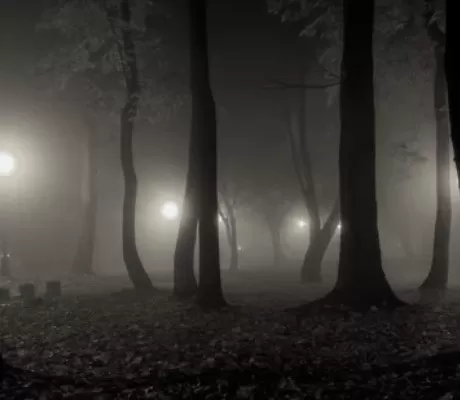Best Scary and Ghost Book Series for 11 and 12 year olds